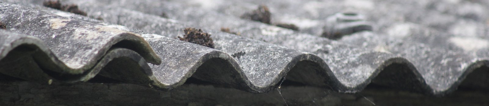 Asbestos cement roof profile Courtesy of M4 Property Solutions.jpg