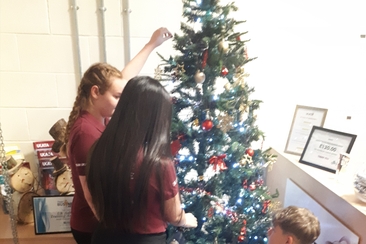 Apprentice tree.jpg