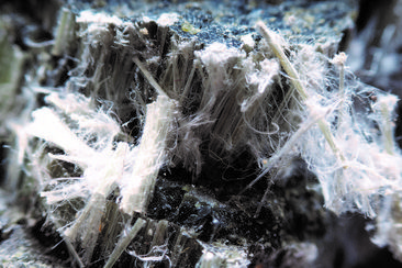 Asbestos fibres.jpg