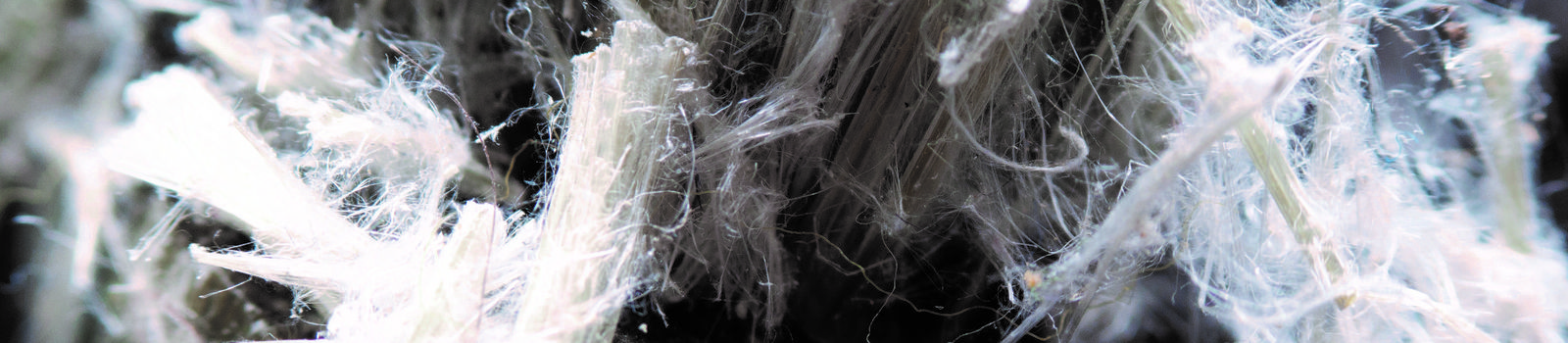 Asbestos fibres.jpg