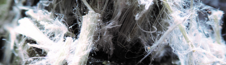 Asbestos fibres.jpg