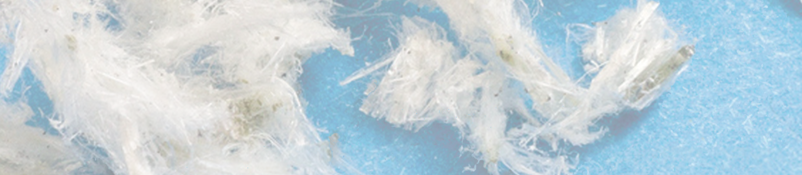 BAD DUST Header.png