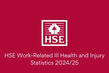 HSE Annual Stats 202425 VC .png