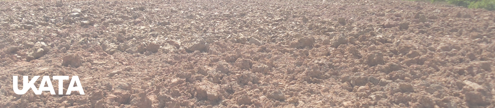 KS cb web header .png