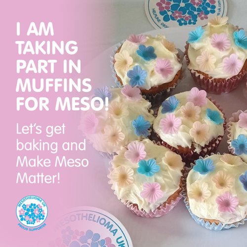 Muffins for Meso 3