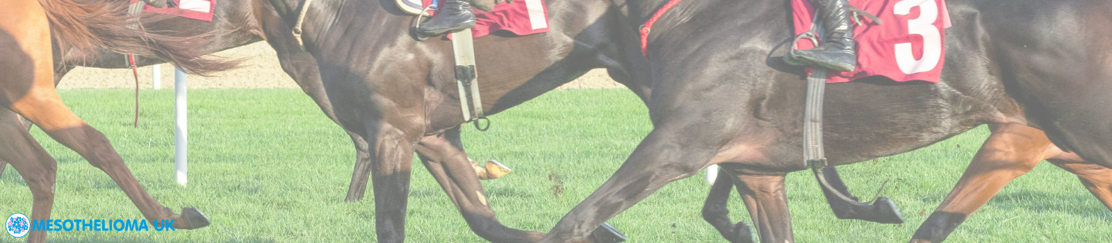 Meso Ladies Race Day 2026 VC .png