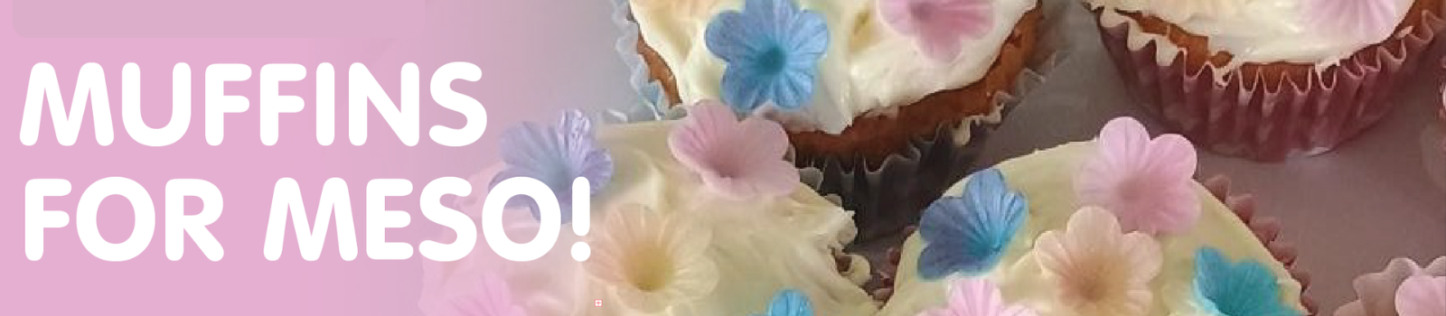 Muffins for Meso .png