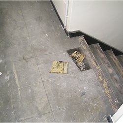 Vinyl floor tiles & adhesive.jpg