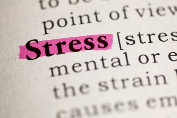 Website Preview Image 366x240.png